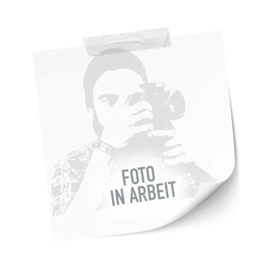 Schneider Tintenpatrone Standard löschbar